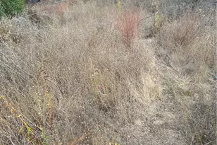 0 Vuelta Grande Rd, Temecula, CA 92590 - Photo 3