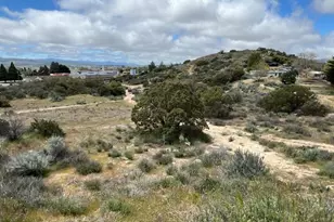 56735 Cain Rd, Anza, CA 92539 - Photo 1