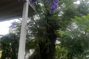 351 E Bradley Ave, El Cajon, CA 92021 - Photo 9