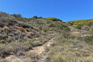 16 Pampas Rd, Temecula, CA 92590 - Photo 5