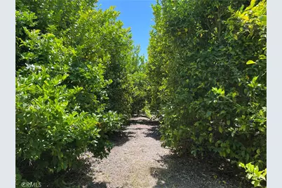 44952 Vista Del Mar, Temecula, CA 92590 - Photo 31