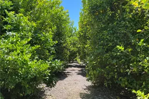 44952 Vista Del Mar, Temecula, CA 92590 - Photo 31