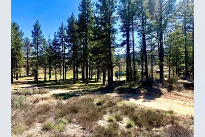 0 Butterfly Peak Rd., Mountain Center, CA 92561 - Photo 7