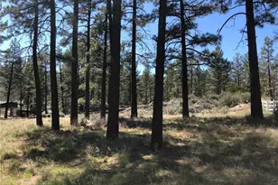 0 Butterfly Peak Rd, Mountain Center, CA 92561 - Photo 19