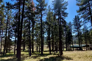 0 Butterfly Peak Rd, Mountain Center, CA 92561 - Photo 5