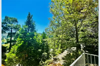349 Golf Course Road, Lake Arrowhead, CA 92352 - Photo 49