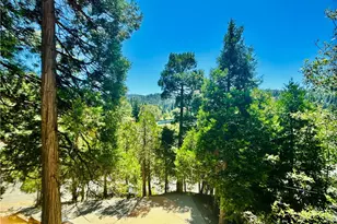349 Golf Course Rd, Lake Arrowhead, CA 92352 - Photo 43