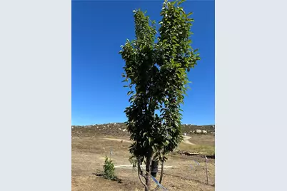 44845 Benton Road, Hemet, CA 92544 - Photo 11