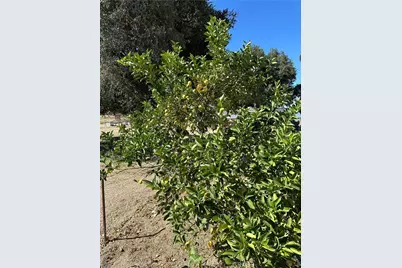 44845 Benton Road, Hemet, CA 92544 - Photo 19