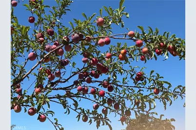 44845 Benton Road, Hemet, CA 92544 - Photo 5