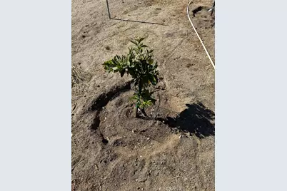 44845 Benton Road, Hemet, CA 92544 - Photo 27