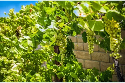 35416 Oakstone Creek Court, Winchester, CA 92596 - Photo 29