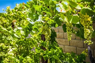 35416 Oakstone Creek Ct, Winchester, CA 92596 - Photo 29