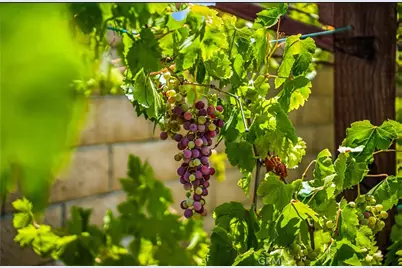 35416 Oakstone Creek Court, Winchester, CA 92596 - Photo 37