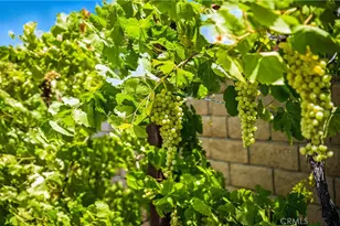 35416 Oakstone Creek Ct, Winchester, CA 92596 - Photo 29