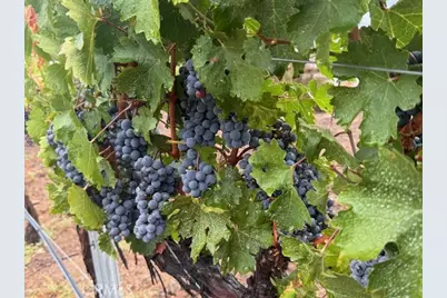 39547 Calle Cabernet, Temecula, CA 92591 - Photo 67