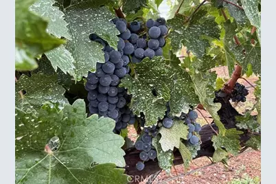 39547 Calle Cabernet, Temecula, CA 92591 - Photo 69