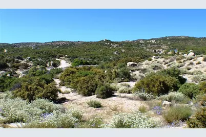 42560 Labrinia Lane, Anza, CA 92539 - Photo 7