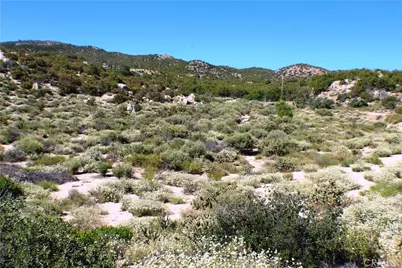 42560 Labrinia Lane, Anza, CA 92539 - Photo 19