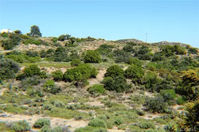 42560 Labrinia Lane, Anza, CA 92539 - Photo 7