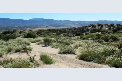 42560 Labrinia Lane, Anza, CA 92539 - Photo 9