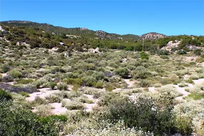 42560 Labrinia Lane, Anza, CA 92539 - Photo 17