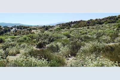 42560 Labrinia Lane, Anza, CA 92539 - Photo 13