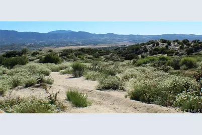 42560 Labrinia Lane, Anza, CA 92539 - Photo 11