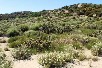 42560 Labrinia Lane, Anza, CA 92539 - Photo 13