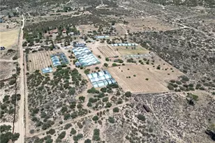 41790 Jay Dee Ln, Anza, CA 92539 - Photo 21