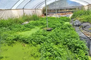 41790 Jay Dee Ln, Anza, CA 92539 - Photo 9