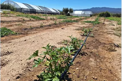 41790 Jay Dee Lane, Anza, CA 92539 - Photo 7