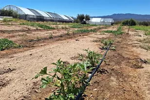 41790 Jay Dee Ln, Anza, CA 92539 - Photo 7