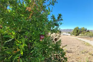 59120 Coyote Canyon Rd, Anza, CA 92539 - Photo 51