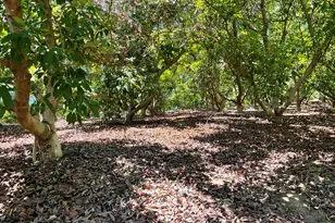 2 Via Vaquero, Temecula, CA 92590 - Photo 3