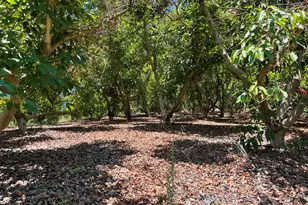 2 Via Vaquero, Temecula, CA 92590 - Photo 19