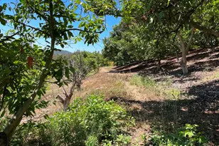 2 Via Vaquero, Temecula, CA 92590 - Photo 21