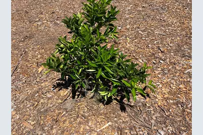 2 Via Vaquero, Temecula, CA 92590 - Photo 13