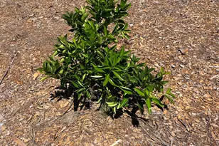 2 Via Vaquero, Temecula, CA 92590 - Photo 13