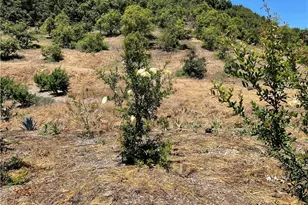 2 Via Vaquero, Temecula, CA 92590 - Photo 9