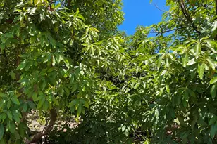 2 Via Vaquero, Temecula, CA 92590 - Photo 15