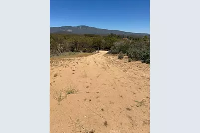 38111 Manzanita Mountain Lane, Anza, CA 92539 - Photo 15