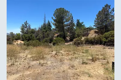 38111 Manzanita Mountain Lane, Anza, CA 92539 - Photo 9