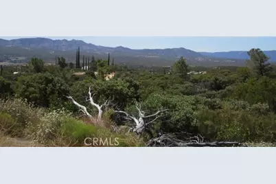 38111 Manzanita Mountain Lane, Anza, CA 92539 - Photo 25