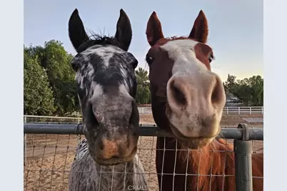 34020 Madera De Playa, Temecula, CA 92592 - Photo 35