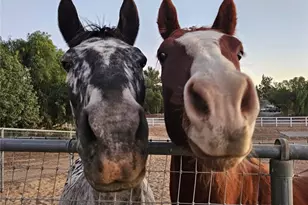 34020 Madera De Playa, Temecula, CA 92592 - Photo 35