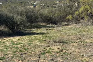 54648 Glasgow Rd, Anza, CA 92539 - Photo 49