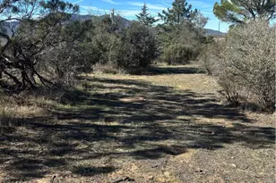 54648 Glasgow Rd, Anza, CA 92539 - Photo 51