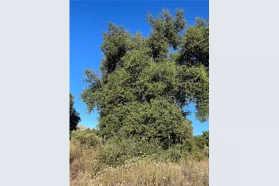 35250 Willow Creek Road, Hemet, CA 92544 - Photo 3