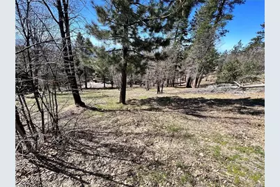 41 Fredalba Road, Running Springs, CA 92382 - Photo 5